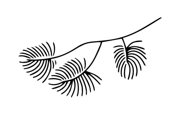 Handgezeichnetes Doodle Aus Tannenzweig Isoliert Auf Weißem Hintergrund Nadelbaumskizze Vektorillustration — Stockvektor