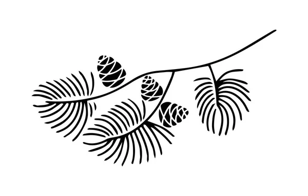 Hand Drawn Doodle Fir Tree Branch Cones Isolated White Background Royalty Free Stock Vectors