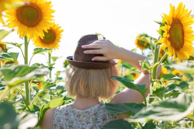 Bir şapka kısa bir saç kesimi ile sarışın ayçiçeği bir alanda geri duruyor. Doğa ile birlik