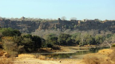 Ranthambore Fort, Rajasthan, Hindistan