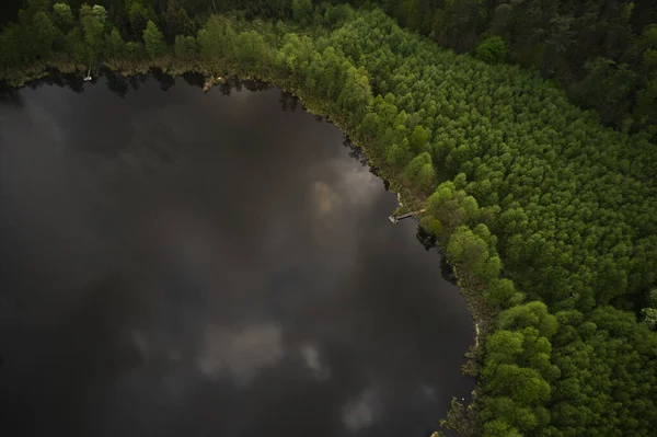 Uitzicht vanuit de lucht op een bosmeer. kustlijn van een wild meer, omgeven door groene bomen, gezien vanaf een drone — Stockfoto