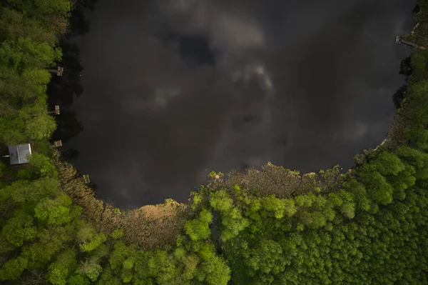 Uitzicht vanuit de lucht op een bosmeer. kustlijn van een wild meer, omgeven door groene bomen, gezien vanaf een drone — Stockfoto