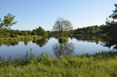 Polonya'da Pilica nehri güzel, yeşil görünümü.