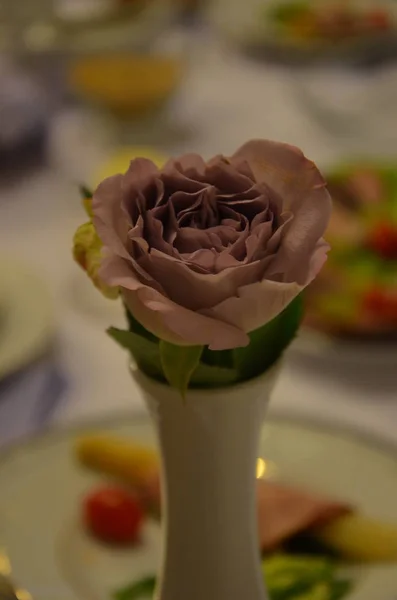 Una Rosa Púrpura Brillante Jarrón Blanco —  Fotos de Stock
