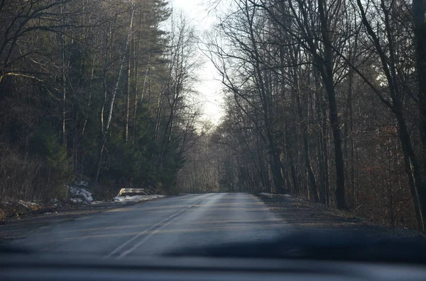 View Road While Driving Forest — Stock Photo, Image