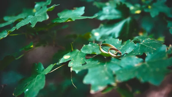 nikah nişan yüzükleri. sevgi ve sadakat sembolü.
