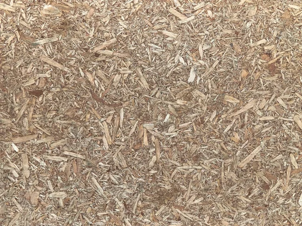 Texture Sawdust Big Small Shavings — Stock Photo, Image