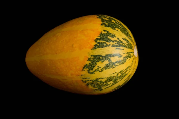 Colorful pumpkin on a black background — Stock Photo, Image