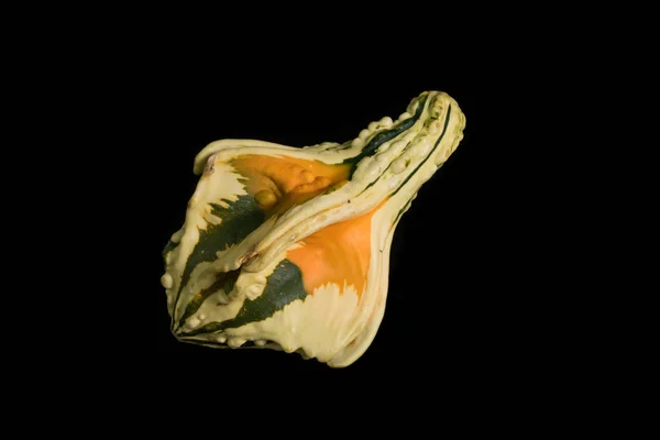 Colorful pumpkin on a black background — Stock Photo, Image