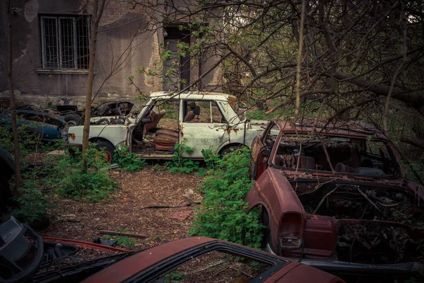 Destroyed and abanoded car in an abandoned place