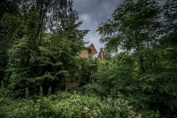 Ormanın ortasında duran terk edilmiş kilise, tamamen boş