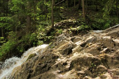 Slovakça Paradise natio 'da akarsu aracılığıyla çalışan ıslak bir iz