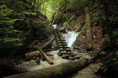 Dangerous trail through a waterfall with wooden ladders in the S clipart