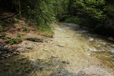 Nehir Slovakça cennet Nationa alanlarından akar