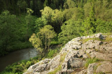 Patikadan yakın nehir ve orman tarafından kaya