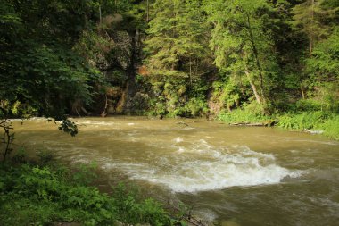 Nehir Slovakça cennet Nationa alanlarından akar