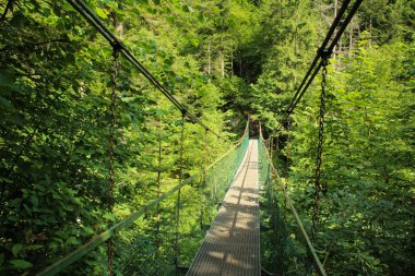 Slovakça Paradise Nehri üzerinde bir çelik süspansiyon köprüsü 