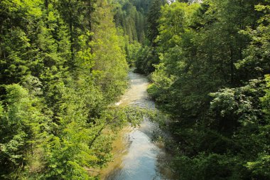 Slovakça Paradis 'te daha fazla orman yerlerine giden bir iz