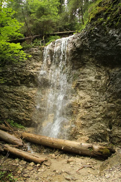 Hermosas cascadas en el sendero turístico en Slovak Paradise Nat —  Fotos de Stock
