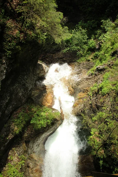 Un sendero mojado que corre a través de arroyos en el paraíso eslovaco Natio —  Fotos de Stock