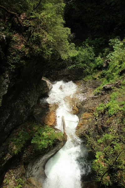 Un sendero mojado que corre a través de arroyos en el paraíso eslovaco Natio —  Fotos de Stock