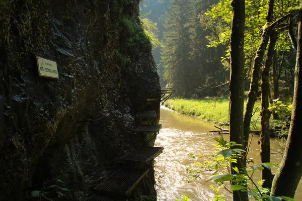 Slの鋼鉄はしごが付いている滝を通る危険な道 — ストック写真