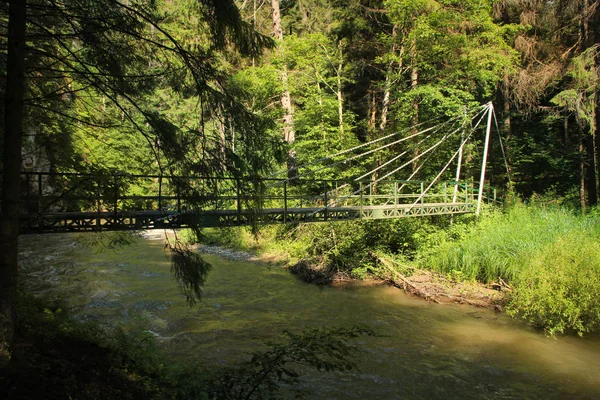 Un puente colgante de acero sobre el río en el paraíso eslovaco — Foto de Stock