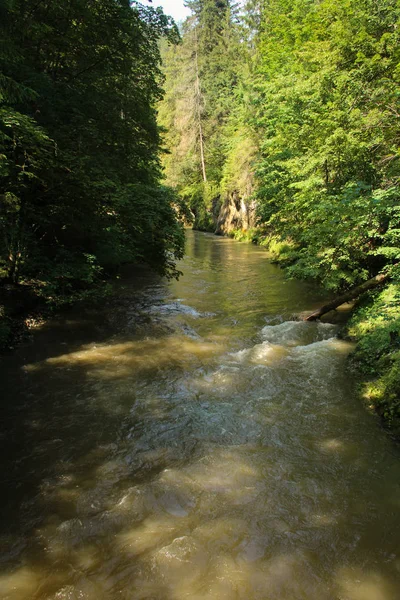 El río fluye a través de las áreas del paraíso eslovaco Nationa —  Fotos de Stock