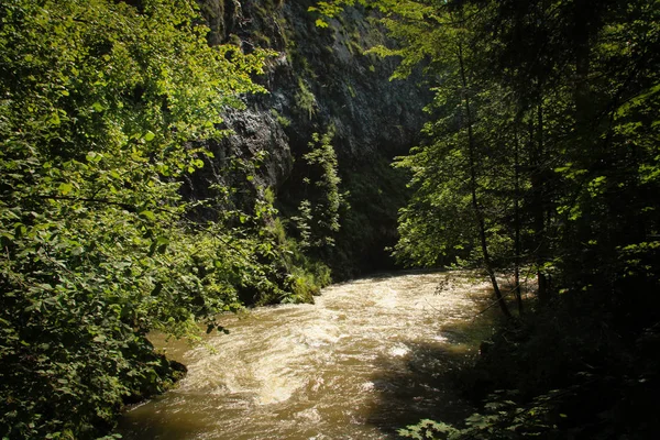 川はスロバキアの楽園国家の地域を流れる — ストック写真