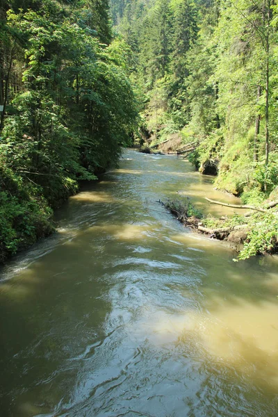 The river flows through the areas of the Slovak Paradise Nationa — Stock Photo, Image