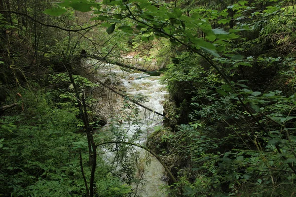 Un sentiero bagnato che attraversa i torrenti nel paradiso slovacco Natio — Foto Stock