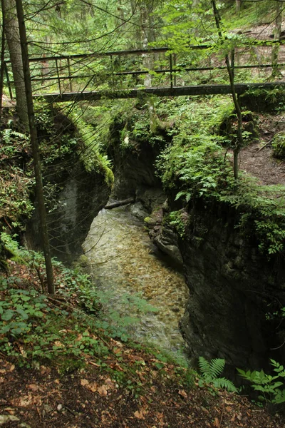 A steel suspension bridge over the river in the Slovak Paradise — Stock Photo, Image