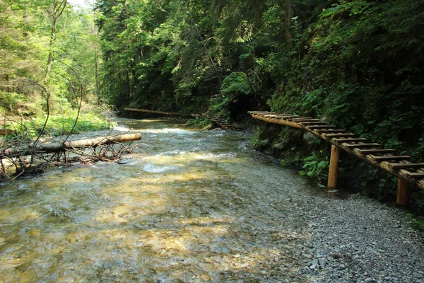 Una pasarela de madera que corre a lo largo de un arroyo más grande en el eslovaco —  Fotos de Stock