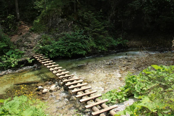 Egy fából készült gyaloghíd, amely egy nagyobb patak mentén fut a Szlovák — Stock Fotó