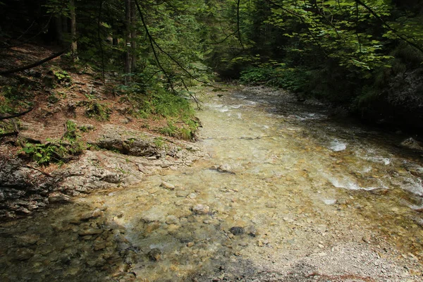 Nehir Slovakça cennet Nationa alanlarından akar