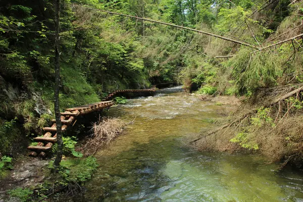 Egy fából készült gyaloghíd, amely egy nagyobb patak mentén fut a Szlovák — Stock Fotó