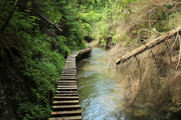 Uma passarela de madeira que corre ao longo de um riacho maior na Eslováquia — Fotografia de Stock