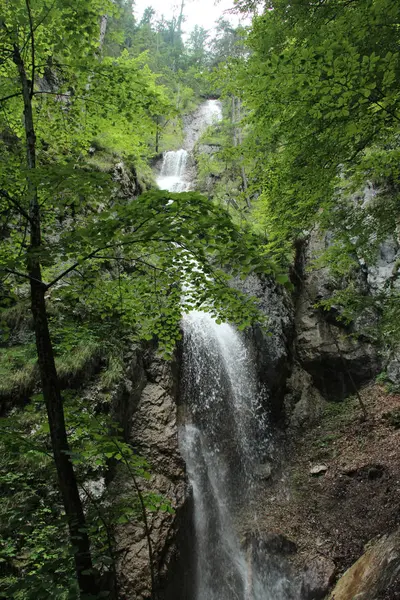 Hermosas cascadas en el sendero turístico en Slovak Paradise Nat —  Fotos de Stock