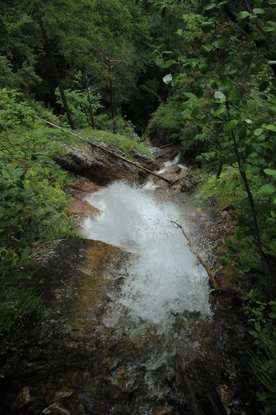 A wet trail running through streams in the Slovak Paradise Natio