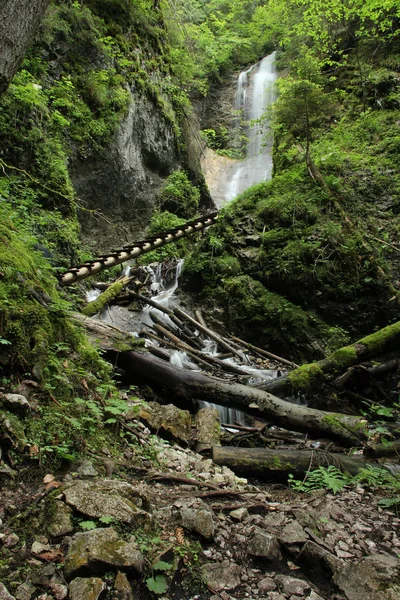 Peligroso sendero a través de una cascada con escaleras de madera en el S —  Fotos de Stock