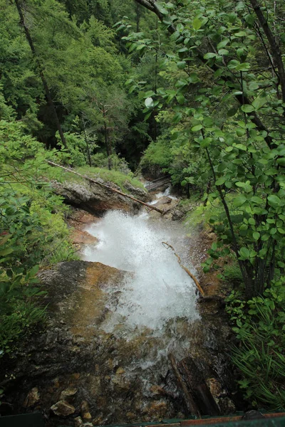 Un sendero mojado que corre a través de arroyos en el paraíso eslovaco Natio —  Fotos de Stock