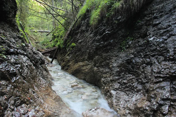 Uma trilha molhada que atravessa riachos na Natio Eslovaca do Paraíso — Fotografia de Stock