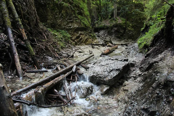 Uma trilha molhada que atravessa riachos na Natio Eslovaca do Paraíso — Fotografia de Stock