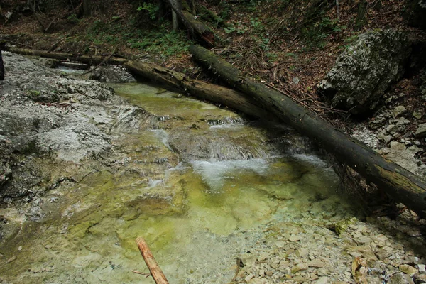 Uma trilha molhada que atravessa riachos na Natio Eslovaca do Paraíso — Fotografia de Stock