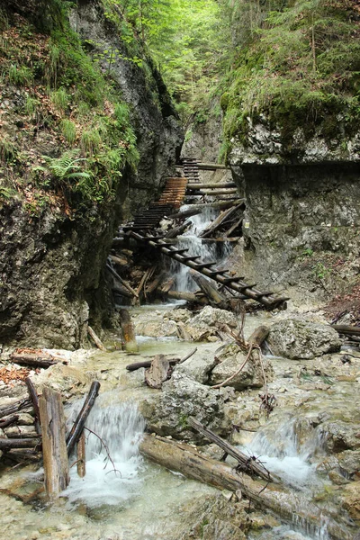 Percorso pericoloso attraverso una cascata con scale in legno nella S — Foto Stock