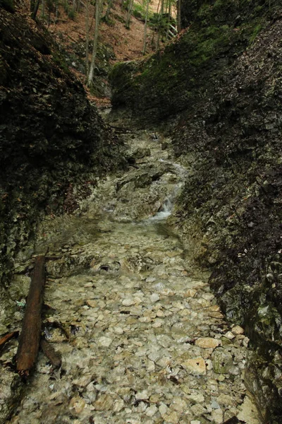 Uma trilha molhada que atravessa riachos na Natio Eslovaca do Paraíso — Fotografia de Stock