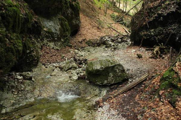 Uma trilha molhada que atravessa riachos na Natio Eslovaca do Paraíso — Fotografia de Stock