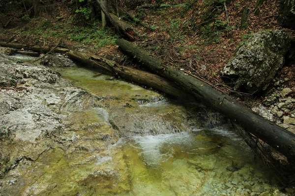 Un sendero mojado que corre a través de arroyos en el paraíso eslovaco Natio — Foto de Stock