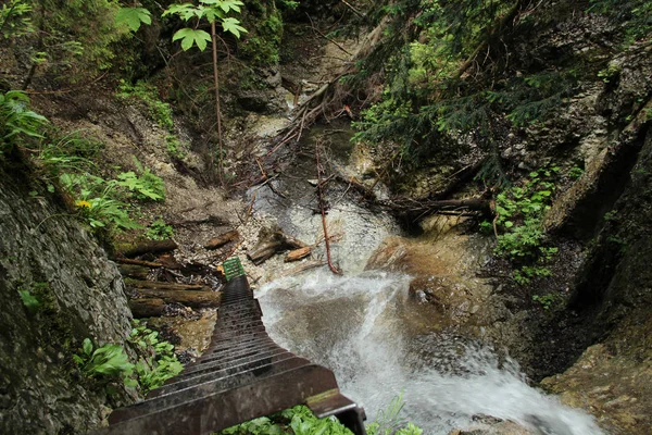 Peligroso sendero a través de una cascada con escaleras de acero en el Sl — Foto de Stock