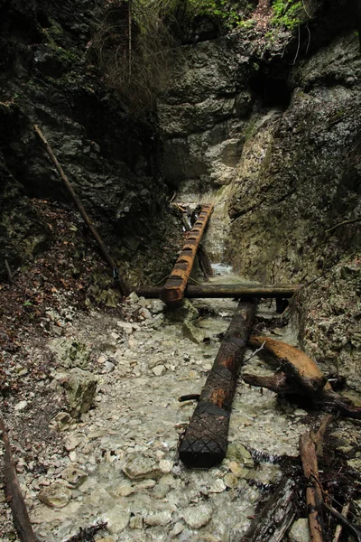 Un sentiero bagnato che attraversa i torrenti nel paradiso slovacco Natio — Foto Stock